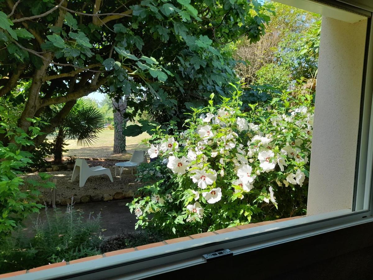 Villa Aigues Vives Boutenac Exteriör bild